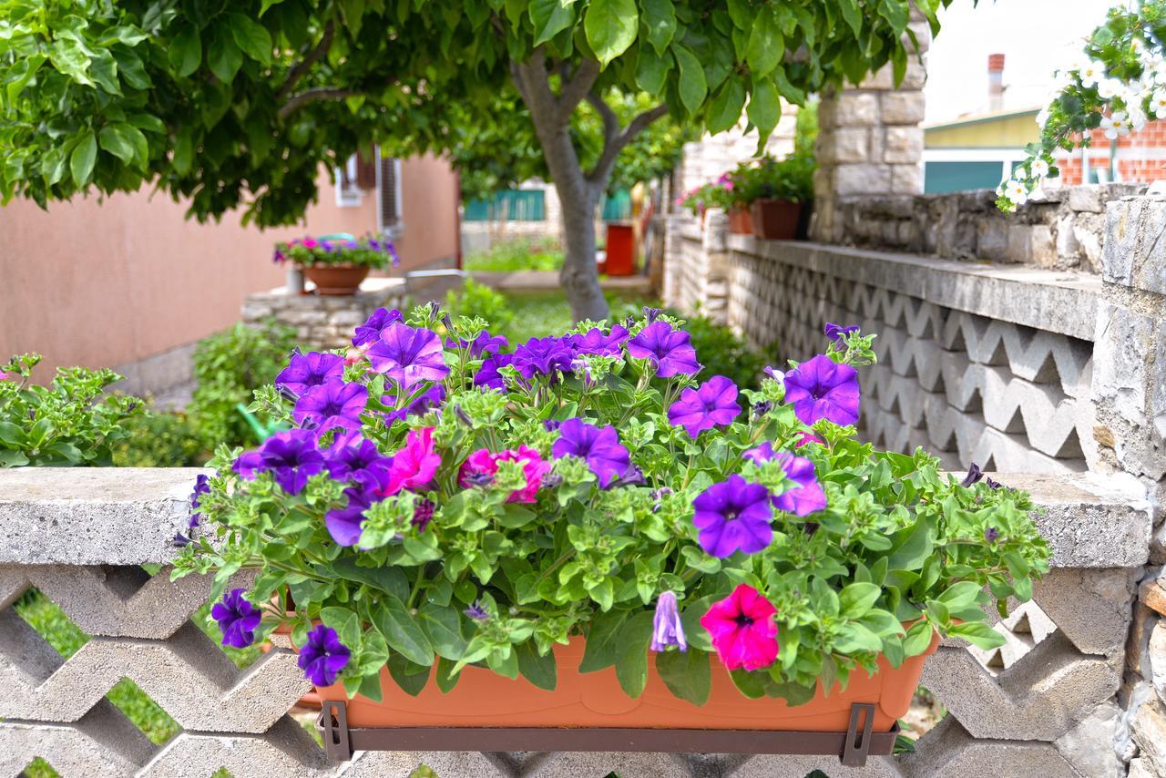 Apartments Orange 167 Novigrad  Zewnętrze zdjęcie